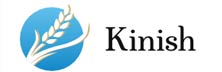 Kinish