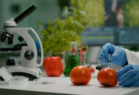 Essential Practices for Implementing Effective Food Safety Monitoring Systems
