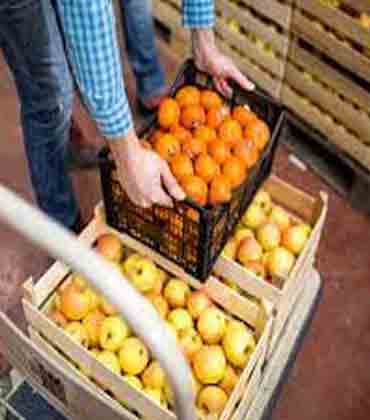 How Technology is Making Food Trackability Easier in the Supply Chain