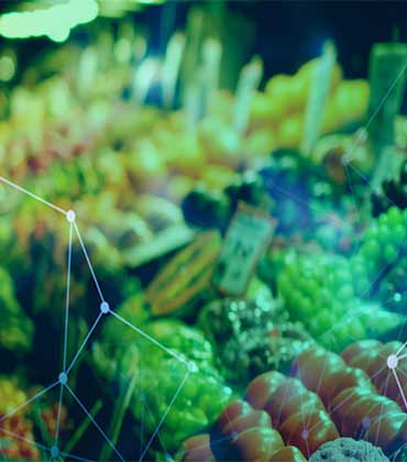 Robotics: The Future of the Food Industry