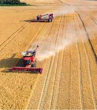 Agricultures Connected FutureTechnology's Role in Yielding New Grow