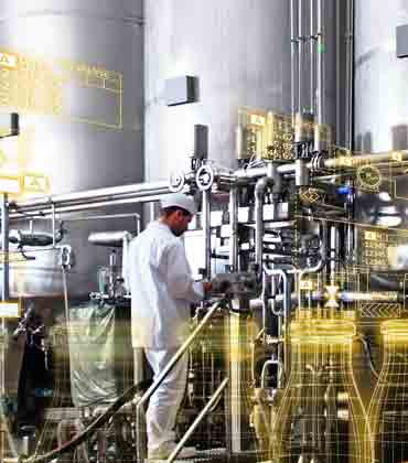 How Does IoT and Big Data Contribute Significantly to the Food Industry?