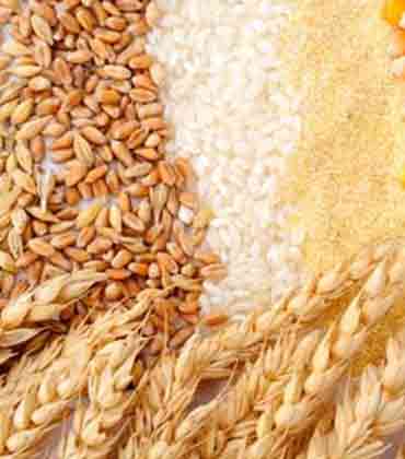 Steps to Follow While Creating a HACCP Plan