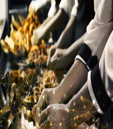 Alternative Proteins Display Potential for a Promising Future