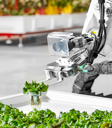 How Is Technology Accelerating the Growth of the Food Industry?