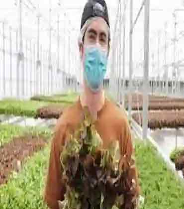 How Hydroponics Can Impact Agriculture