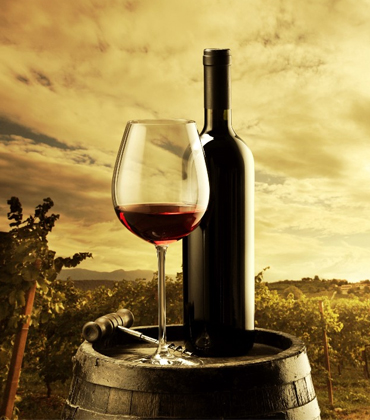 How is Technology Enhancing Wine Making Process