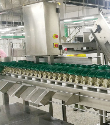 Poultry Manufacturing Change is coming!