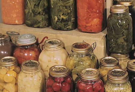 Why are Modern Food Storage Solutions Gaining Popularity?