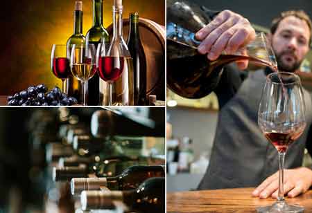 The Rise of Wine Tourism in Europe