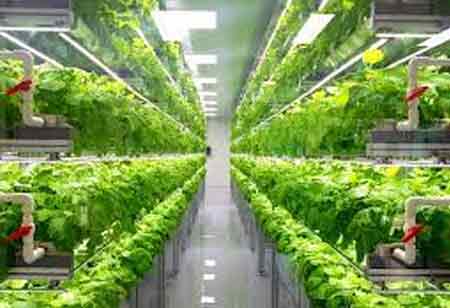 A Case for AgFoodTech Outperformance in the Digital Age, Biology Century and the Bioeconomy Era