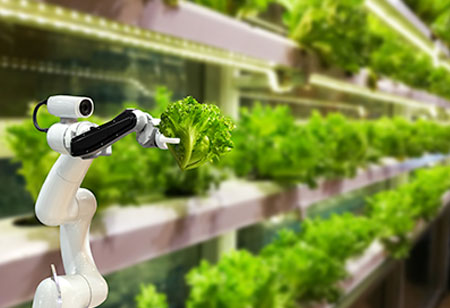 How AI Can Help Improve Food Safety