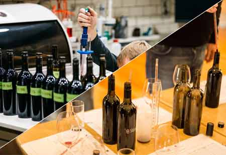 How European Wineries are Blending Tradition with Sustainability