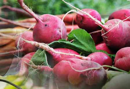 GS1 Forecasts RFID Platforms to Enable Automated Farm-to-Fork Traceability