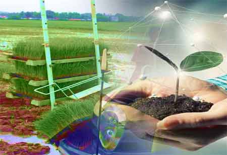  IoT: Game-Changer for Restaurant Operations and Food Safety