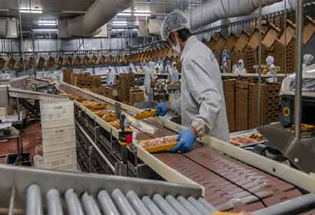 Revolutionizing Dining with Food Ordering and Delivery Technology