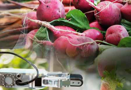 Ways to Improve Crop Yield Using Advanced Technologies