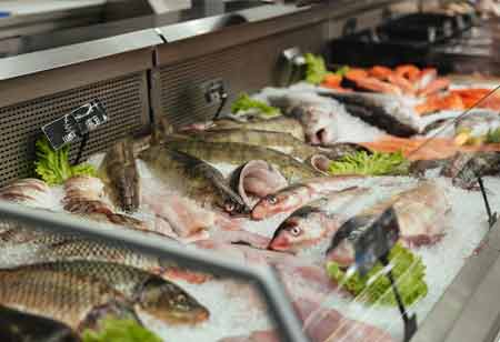 Innovative Technologies Driving Change in Seafood Processing