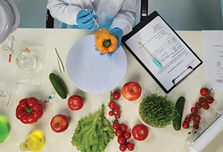 Adapting to the Evolving Landscape of Food Safety in US