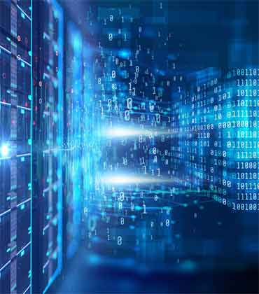 Driving Efficiency and Growth in Food Processing