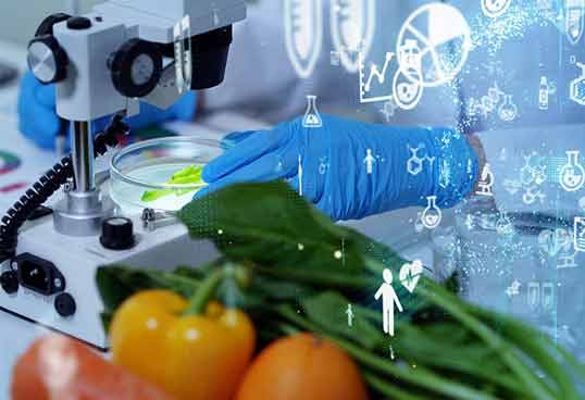 How to Choose the Right Bakery Software?
